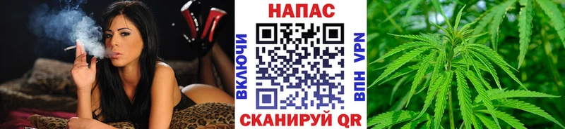 A PVP Ардон