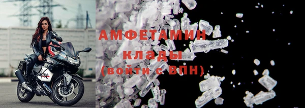 индика Пересвет