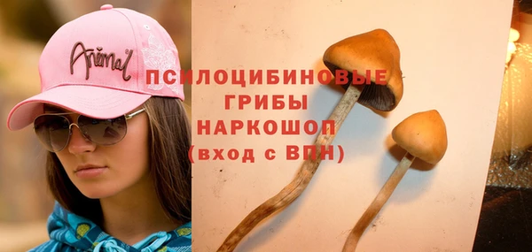 каннабис Пестово