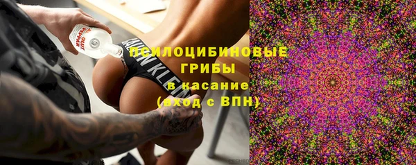 индика Пересвет