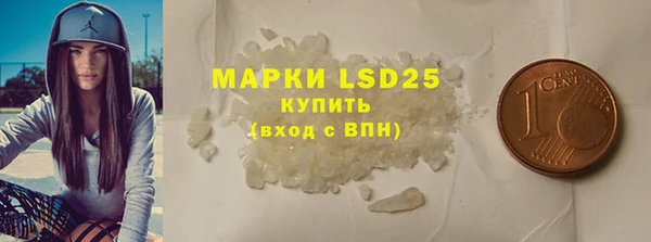 индика Пересвет