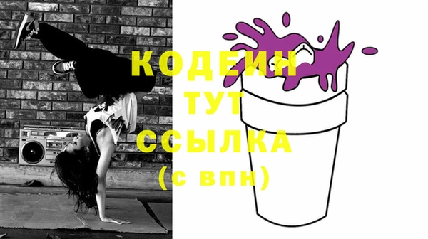 индика Пересвет