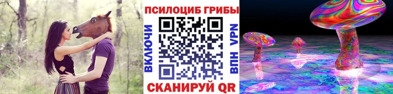 Галлюциногенные грибы мицелий  KRAKEN зеркало  Ардон 