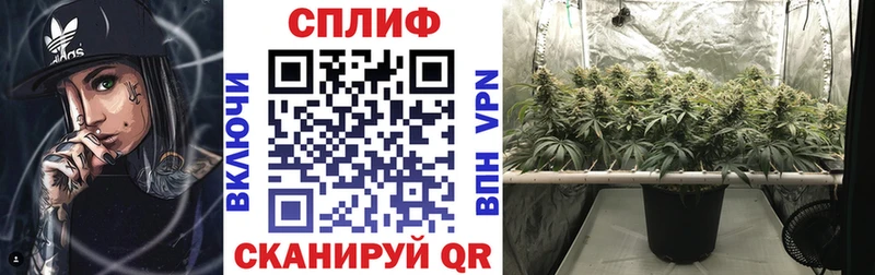 Конопля марихуана Ардон
